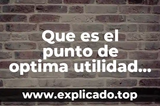 Qué es un tamaño de un punto 3 Que es el punto de optima utilidad en conta