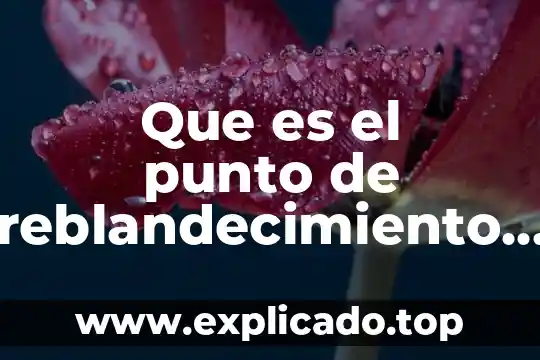 Que es el punto de optima utilidad en conta 3 Que es el punto de reblandecimiento del polietilene