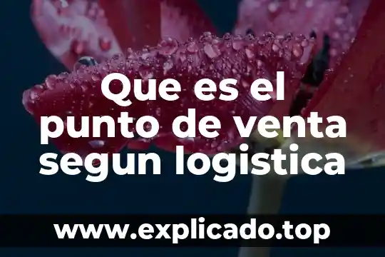 Que es venta en piso 7 Que es el punto de venta segun logistica