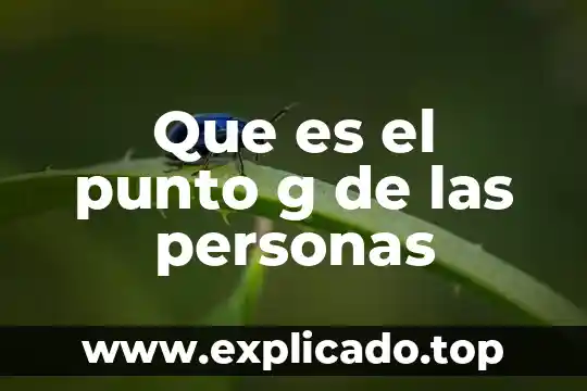Que es la hybris del punto cero 3 Que es el punto g de las personas
