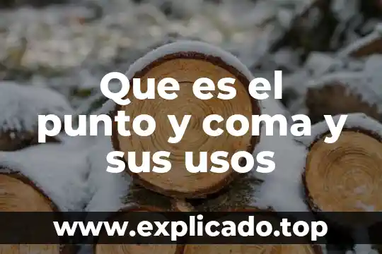 Para que es el punto y coma yahoo 8 Que es el punto y coma y sus usos
