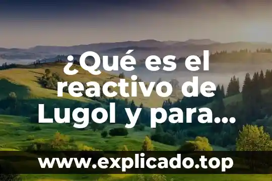 Que es un residuo solido reactivo 8 ¿Qué es el reactivo de Lugol y para qué sirve?