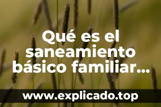 Que es un programa de desarrollo comunitario 8 QuƩ es el saneamiento bƔsico familiar y comunitario