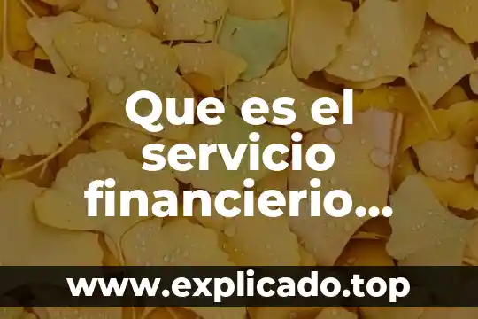 Que es el servicio financierio tipos