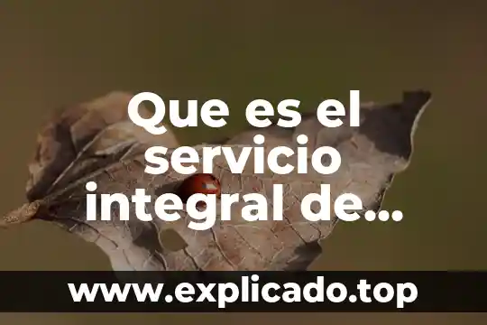 Que es el servicio integral de viaje