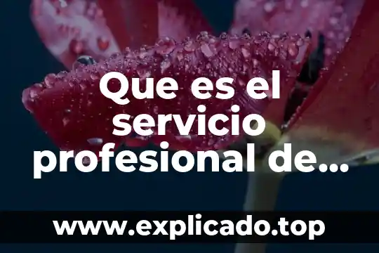 Qué es una línea tipográfica 4 Que es el servicio profesional de carrea
