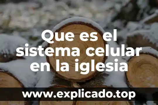 Que es comunidad en la iglesia 4 Que es el sistema celular en la iglesia