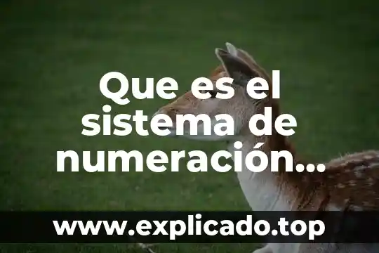 Que es numeración decimal 3 Que es el sistema de numeración decimal yahoo