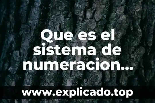 Que es numeración decimal 5 Que es el sistema de numeracion sus