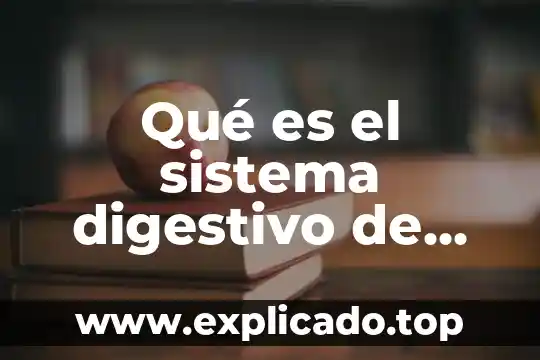En conclusion para que es el sistema digestivo 4 Qué es el sistema digestivo de los poligastricos