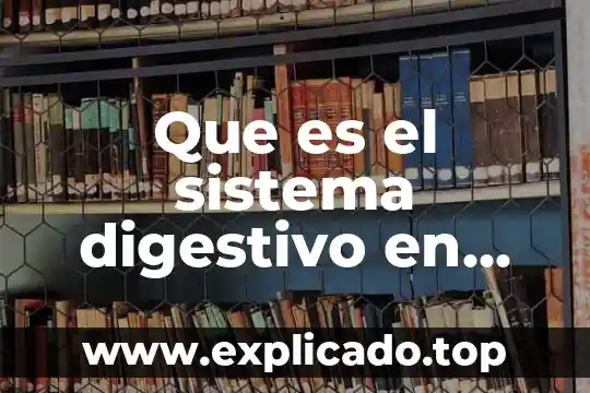 En conclusion para que es el sistema digestivo 3 Que es el sistema digestivo en veterinaria