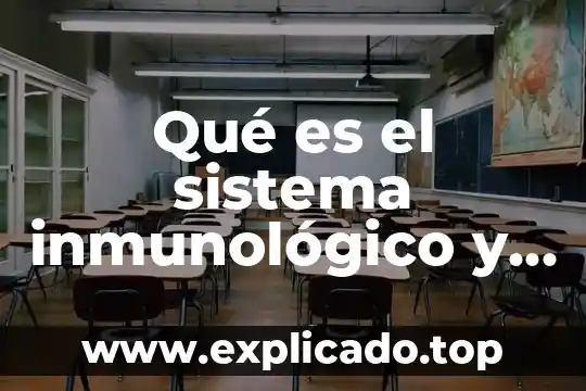 Que es el sistema inmunologico y que lo puede dañar 8 Qué es el sistema inmunológico y de cómo nos protege
