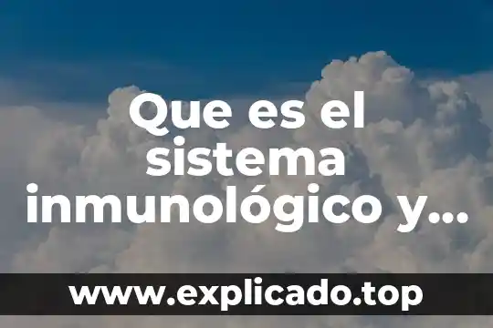 Qué es el sistema inmunológico y de cómo nos protege 4 Que es el sistema inmunológico y que venga con fuente
