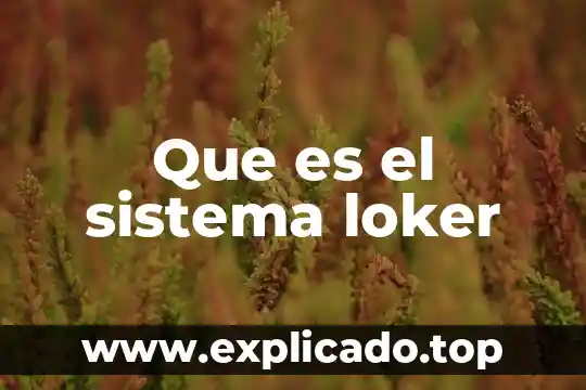 Que es un sistema en geografia 3 Que es el sistema loker