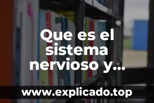 Que es una ecuación de estado en un sistema 7 Que es el sistema nervioso y como esta conformado