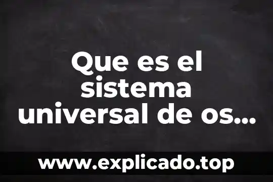 Que es la promocion de los derechos humanos 4 Que es el sistema universal de os derechos humanos
