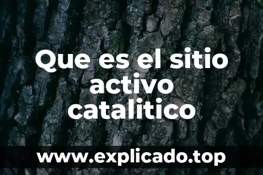 Que es el sitio activo catalitico