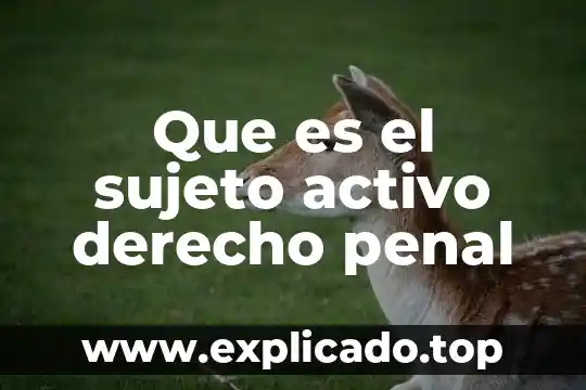 Que es el sujeto activo derecho penal