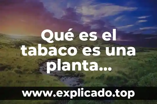Planta vascular que es 3 Qué es el tabaco es una planta originaria de américa