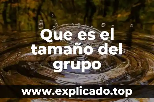 Que es el tamaño del grupo