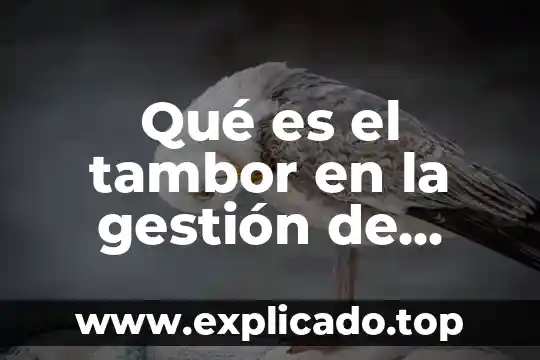 Sistemas de producción e inventarios que es 8 Qué es el tambor en la gestión de producción