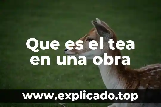 Que es un acto en una obra 4 Que es el tea en una obra