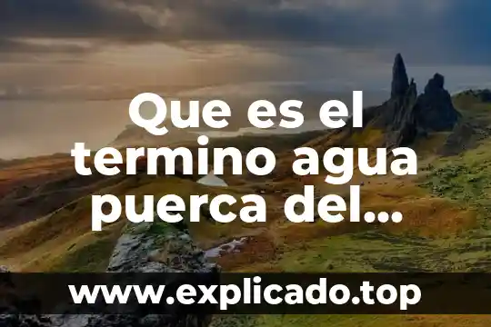 Que es el termino agua puerca del tinte para pelo