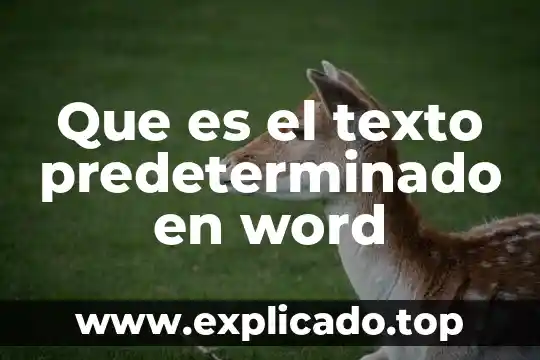 Qué es un volcán descripción en inglés 4 Que es el texto predeterminado en word