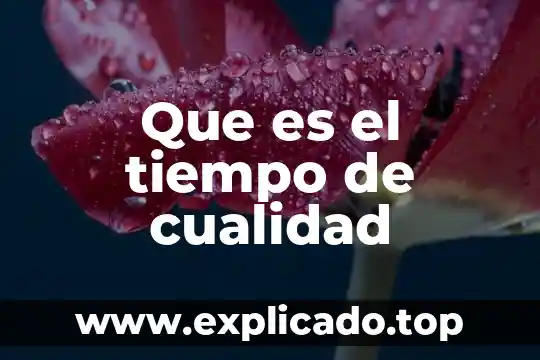 Com.google.chrome.c6uhof que es 5 Que es el tiempo de cualidad