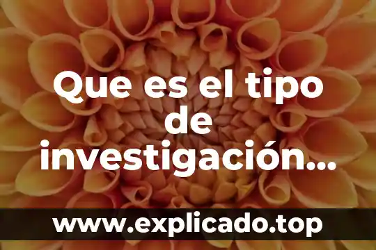 Que es el grafeno investigación profesional 4 Que es el tipo de investigación observativa que es