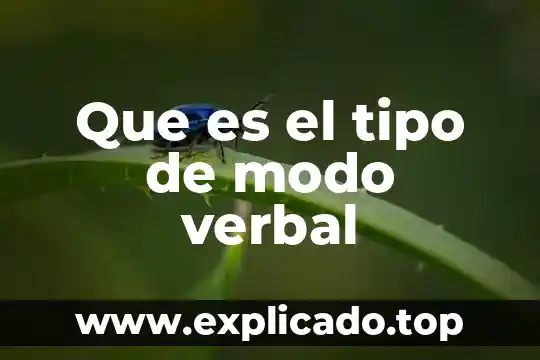 Que es la violencia fisica verbal y psicologica 6 Que es el tipo de modo verbal