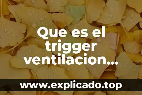 Qué es rampa en ventilación mecánica 5 Que es el trigger ventilacion mecanica