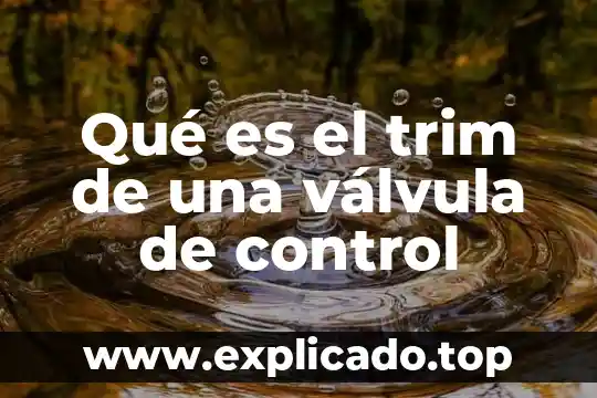 Válvula reguladora de presión que es 4 Qué es el trim de una válvula de control