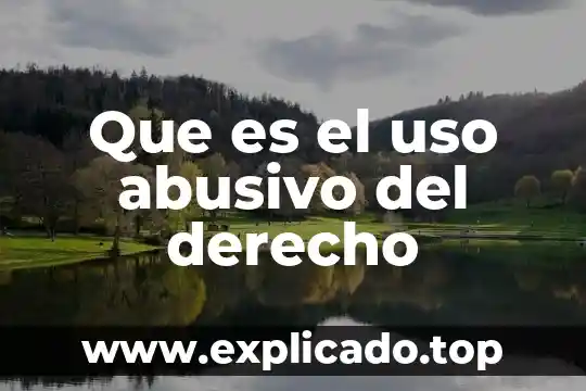 Sistema de admisión doble que es 7 Que es el uso abusivo del derecho
