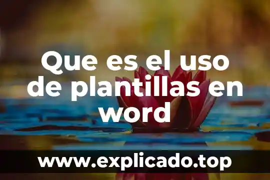 Paea que es el titulo de uso común 4 Que es el uso de plantillas en word