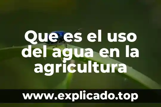 Que es el uso del agua en la agricultura