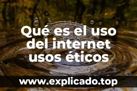 Paea que es el titulo de uso común 7 Qué es el uso del internet usos éticos