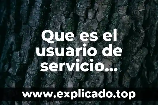 Que es devexpress e interfaz grafica de usuario 3 Que es el usuario de servicio educativo