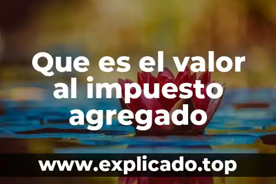 Que es dar valor agregado a al ganado 3 Que es el valor al impuesto agregado