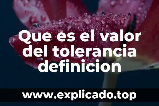 Que es el valor del tolerancia definicion