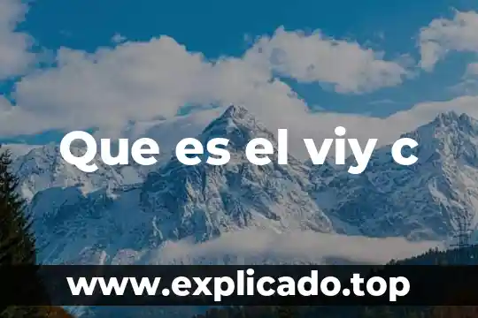 Que es un valuador c 6 Que es el viy c