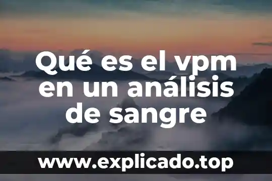 Que es el analisis politico del discurso 7 Qué es el vpm en un análisis de sangre