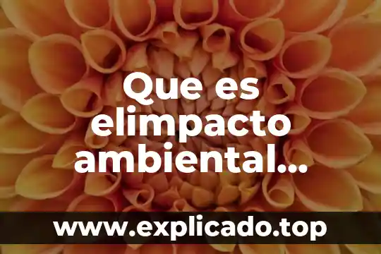Que es la complejidad ambiental número de interfases externas 6 Que es elimpacto ambiental industrial
