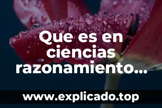 Que es un marco lógico de un proyecto 7 Que es en ciencias razonamiento logico