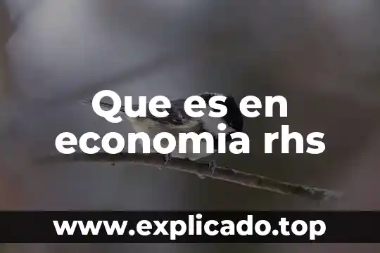 Que es loor en la biblia 3 Que es en economia rhs