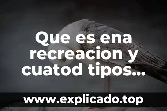 Que es el formato de pedimento de importación definitiva 8 Que es ena recreacion y cuatod tipos existen