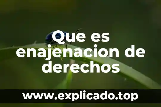 Que es la restitucion en derechos humanos 8 Que es enajenacion de derechos
