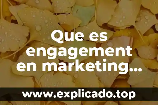 Qué es lo más importante del marketing 3 Que es engagement en marketing digital