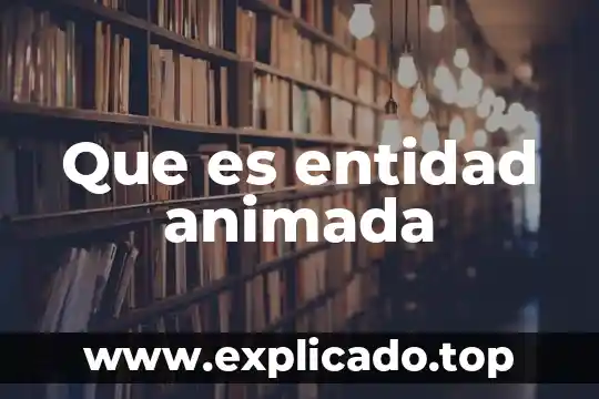 Que es la constitución mexicana animada 3 Que es entidad animada
