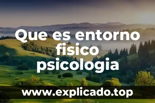 Que es el entorno de programacion 6 Que es entorno fisico psicologia